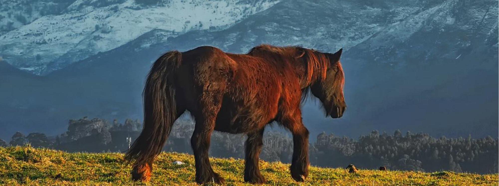 El Pedroso De Llanes Villa Villahormes Kültér fotó
